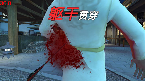 忍者信条3D中文版截图