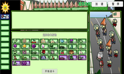pvzbt焰皇花 1