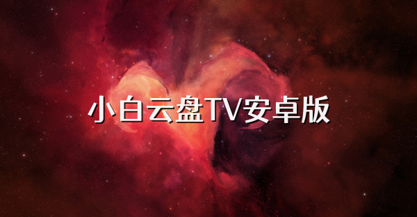 小白云盘TV安卓版