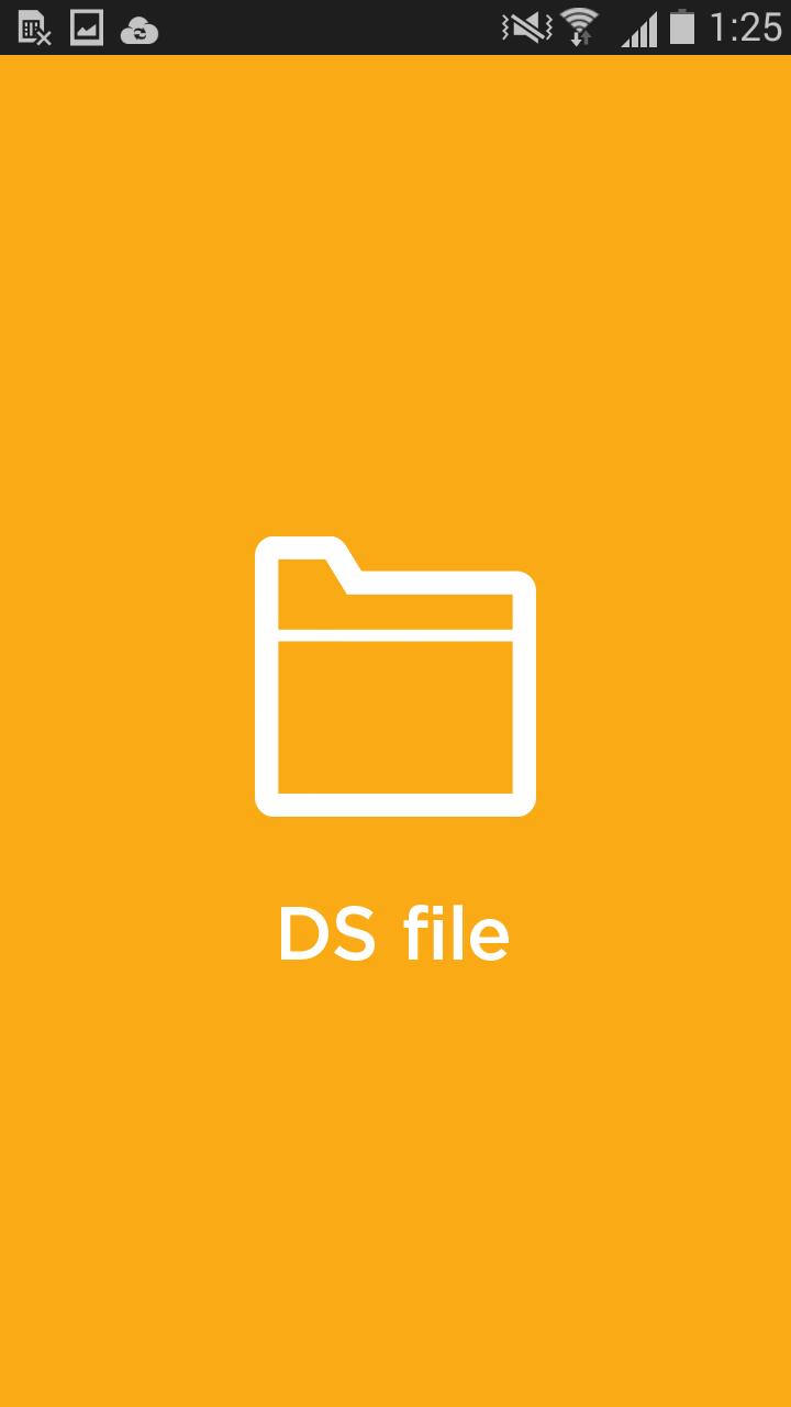 DS file安卓版 1