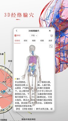 3d人体解剖学免费版 1