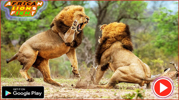 非洲狮模拟器游戏截图