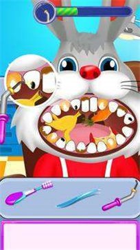 动物牙医手术最新版截图
