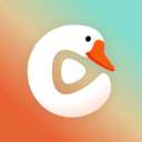 趣看鹅APP官方下载
