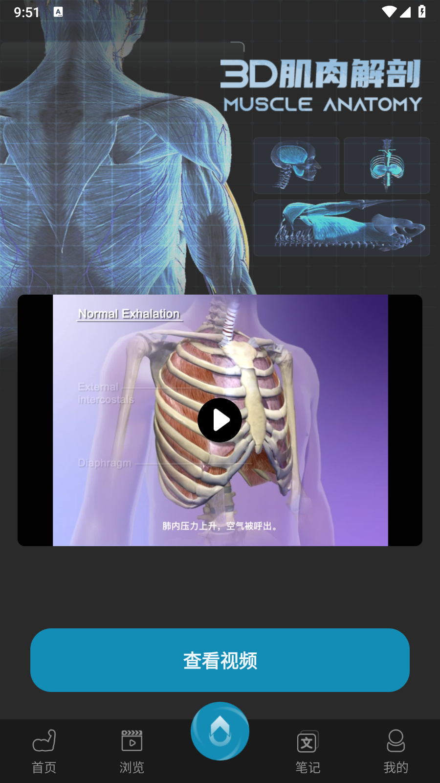 3D肌肉解剖app 1