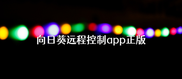 向日葵远程控制app正版