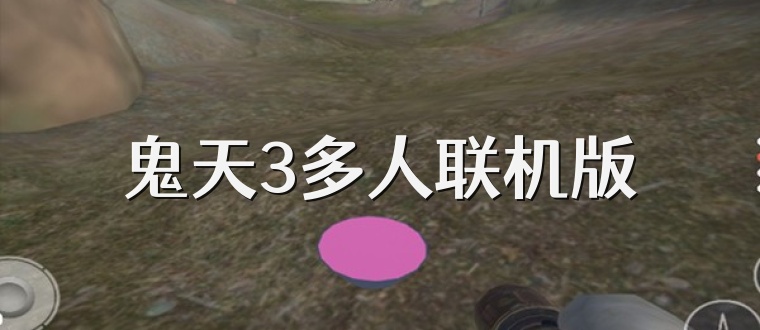 鬼天3多人联机版