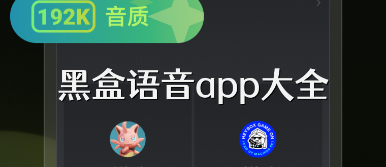 黑盒语音app大全