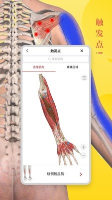 3d人体解剖学免费版截图