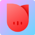 一花无界app