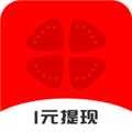 番茄看看app