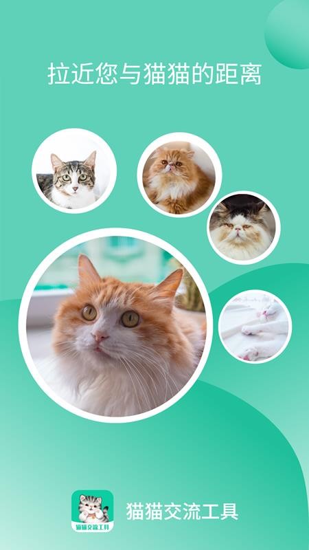 安卓猫猫交流工具软件下载