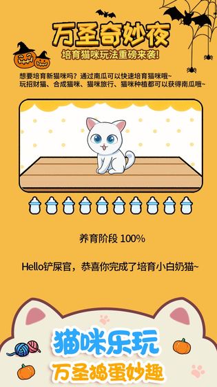 猫咪公寓截图