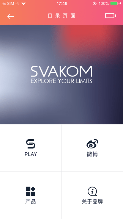 svakom截图