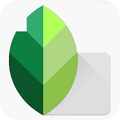 snapseed正版