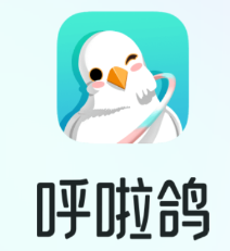 呼啦鸽app 1