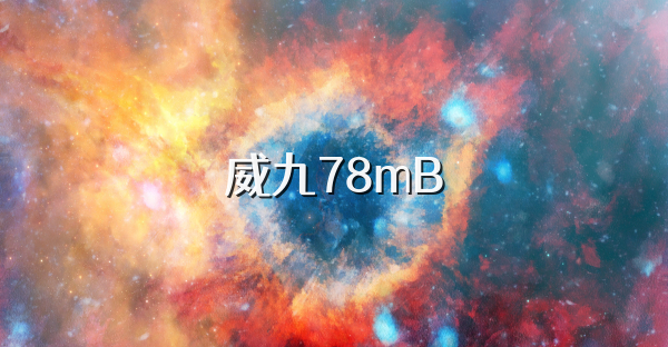 威九78mB