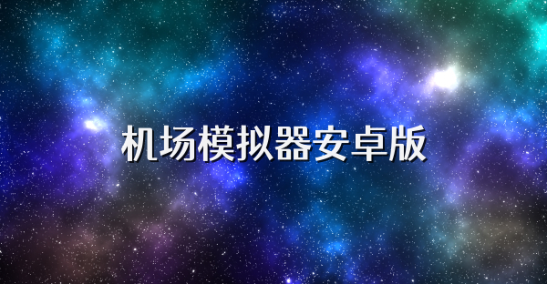 机场模拟器安卓版