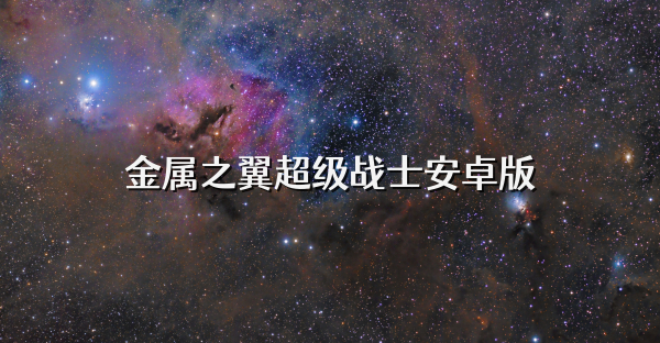 金属之翼超级战士安卓版