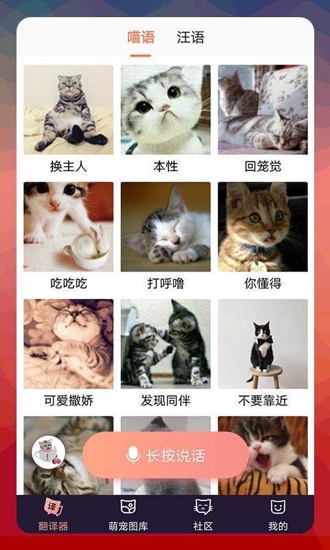 猫语翻译器软件 2.8.4 1