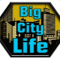 大城市生活模拟器2