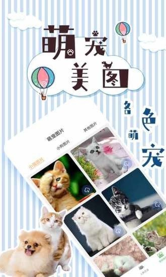 人猫翻译交流器截图