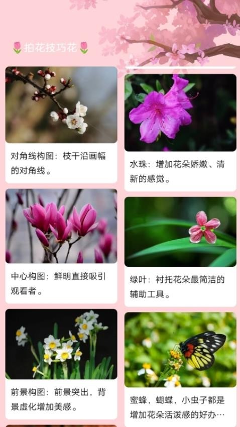 妙拍大师最新版截图