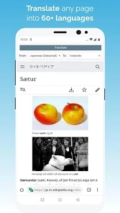 kiwi浏览器中文最新版截图