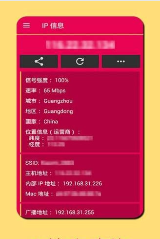 安卓网络ip信息查询app