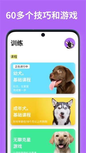 EveryDoggy截图