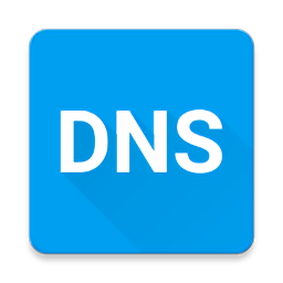 pure dns手机版 v1.0.1