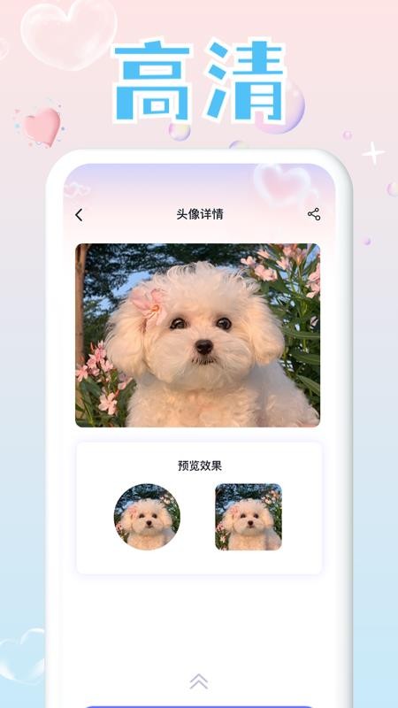 免费头像大全app 3