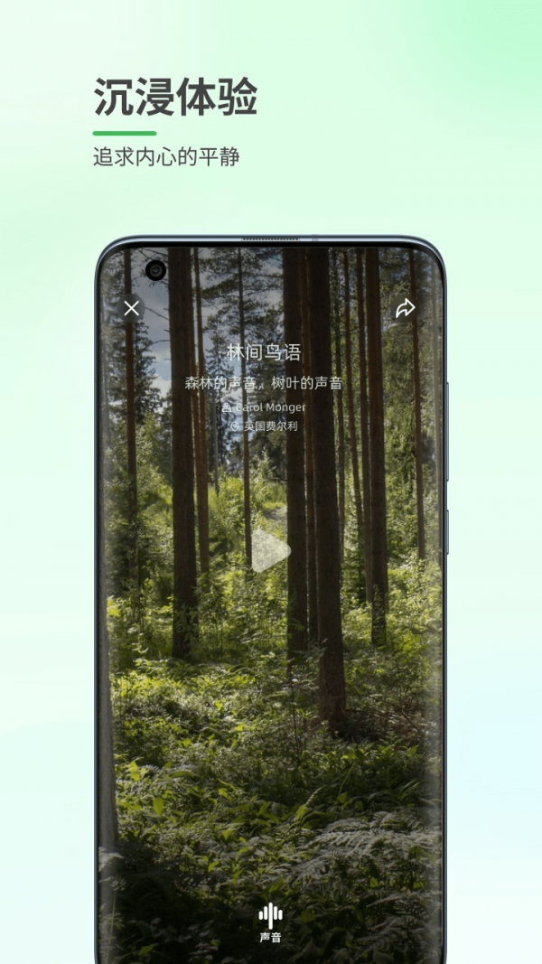 森林白噪音手机版截图