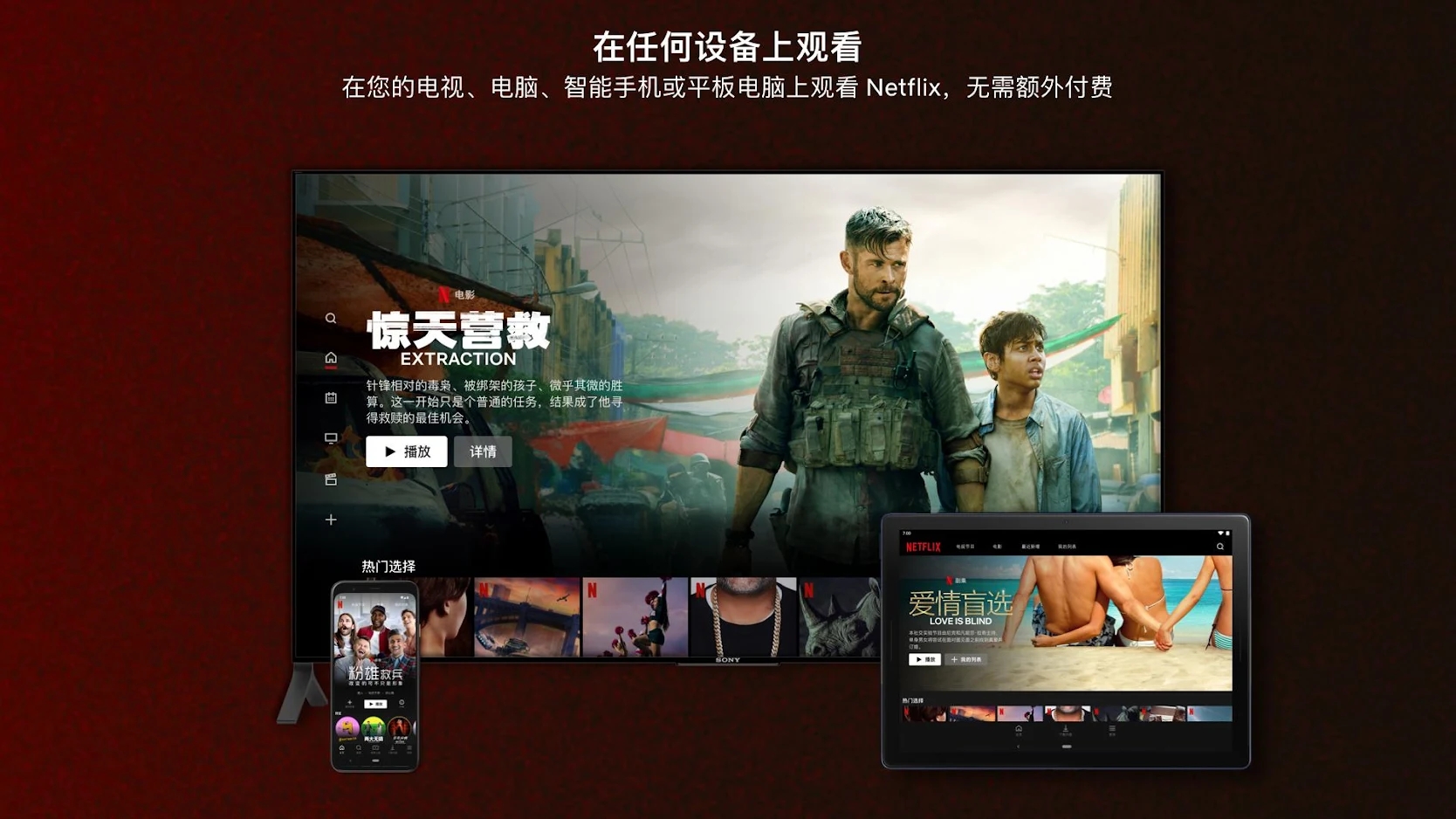 网飞Netflix电视版截图