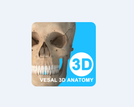 维萨里3D解剖app手机版 1