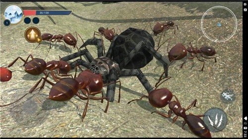蚂蚁生存日记截图