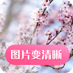 科想照片修复app v21.67