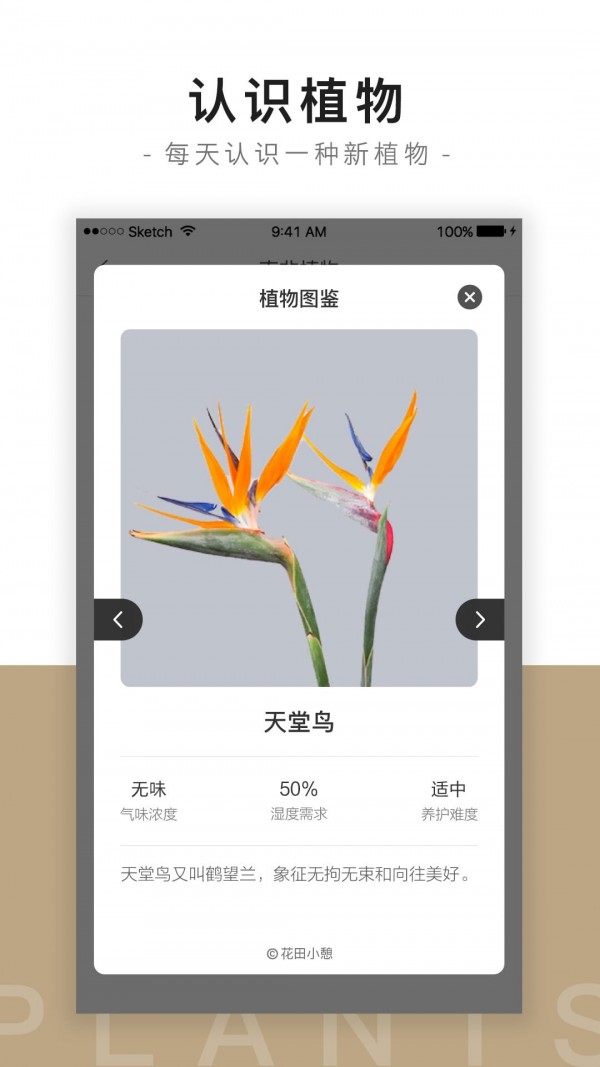 花田小憩手机版 1