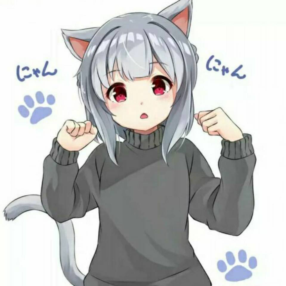 冷狐宝盒版