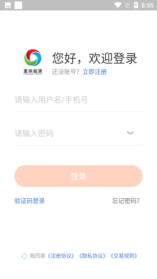 能投货运中文版截图