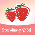 草莓公园中文版