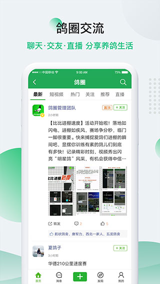 安卓中国信鸽信息网appapp