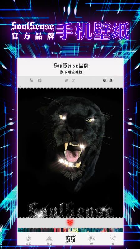 SoulSense官方版截图