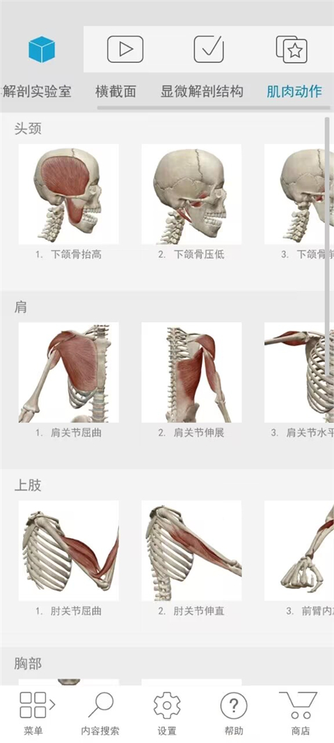 atlas人体解剖软件最新版截图