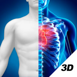 3D人体解剖图谱app 2.0.0