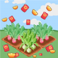 大头菜农场手机版