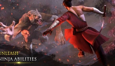 忍者武士隆无敌版截图