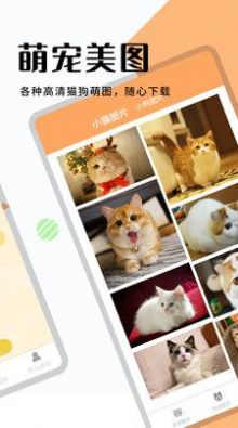 猫狗宠物翻译app 1