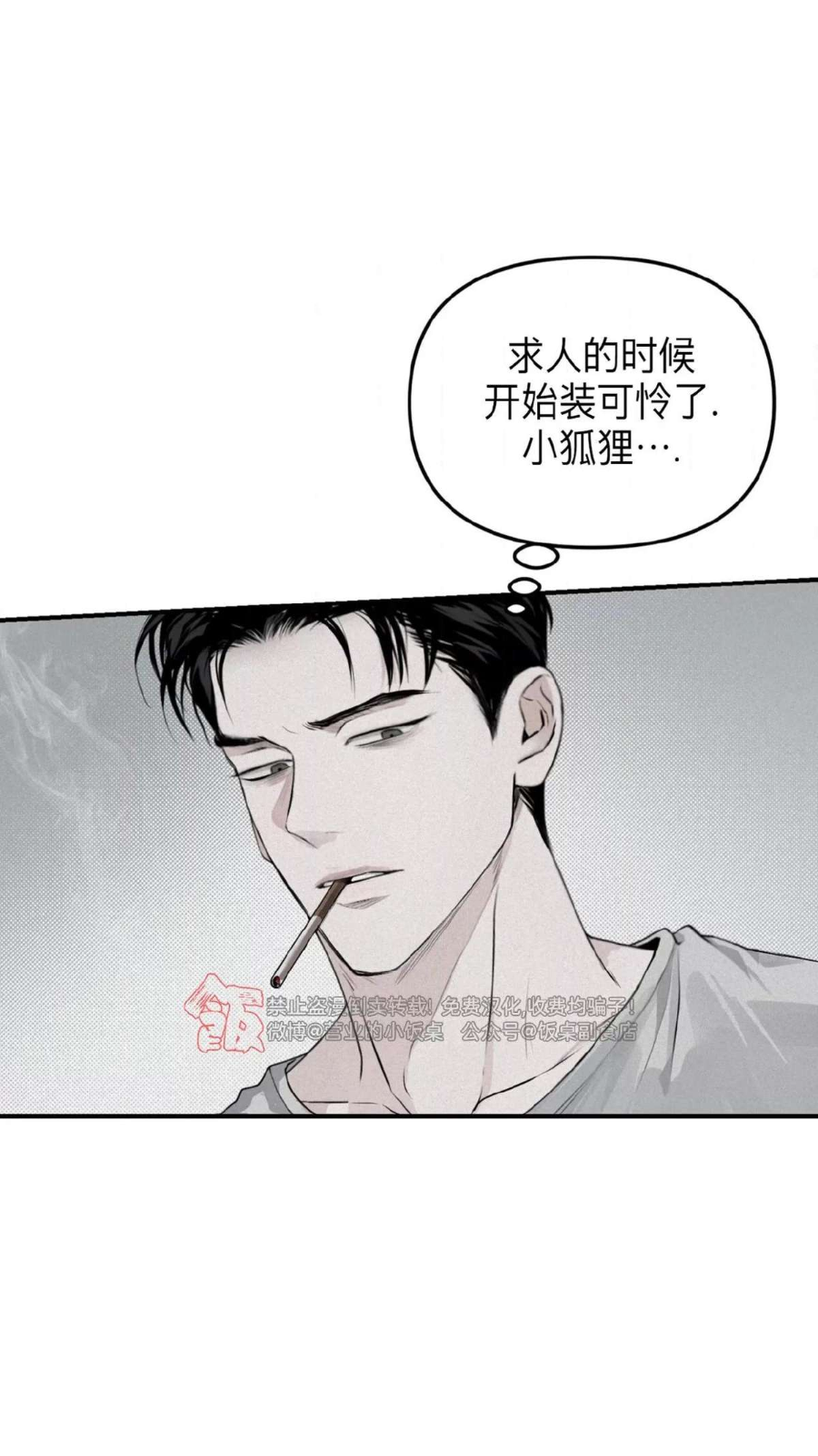 蛋圈动漫正版下载 1
