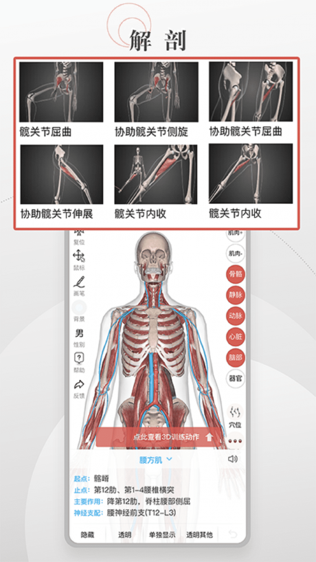 3D运动健康截图